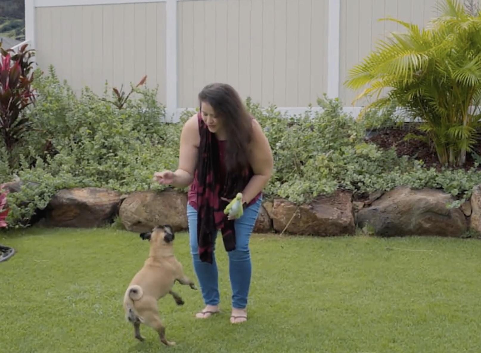 Melissa plays with her dog on the grass in a garden.